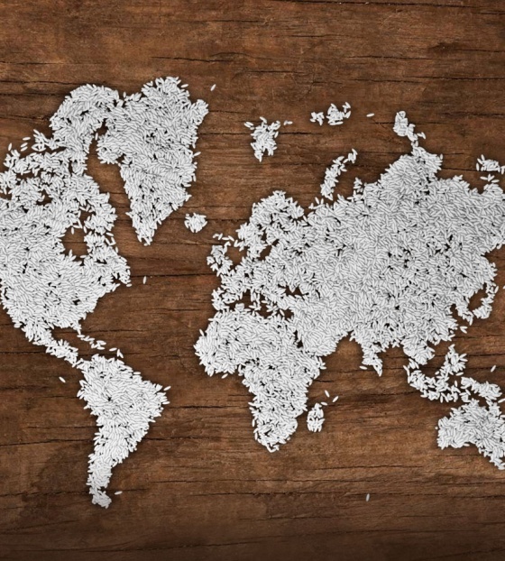 Une carte du monde réalisée à partir de grains de riz.