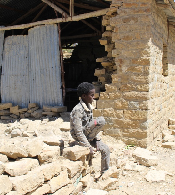 Lewte assis sur un mur de pierre